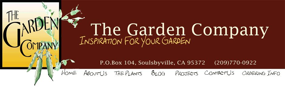 Garden Company Banner