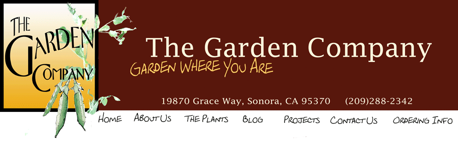 The Garden Company Catalog 
