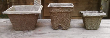 paper pulp pots