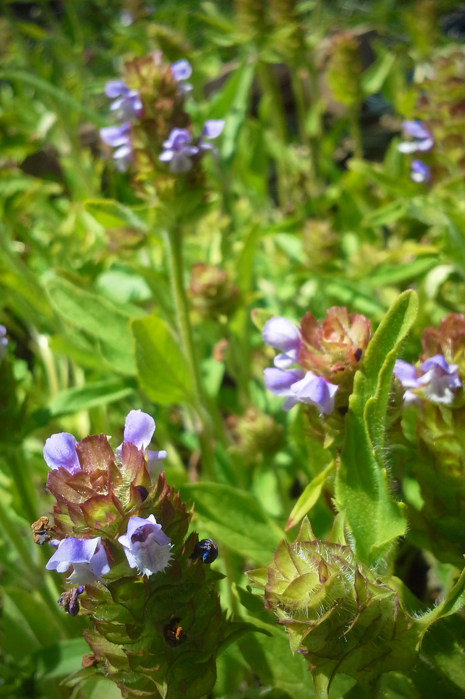 self-heal