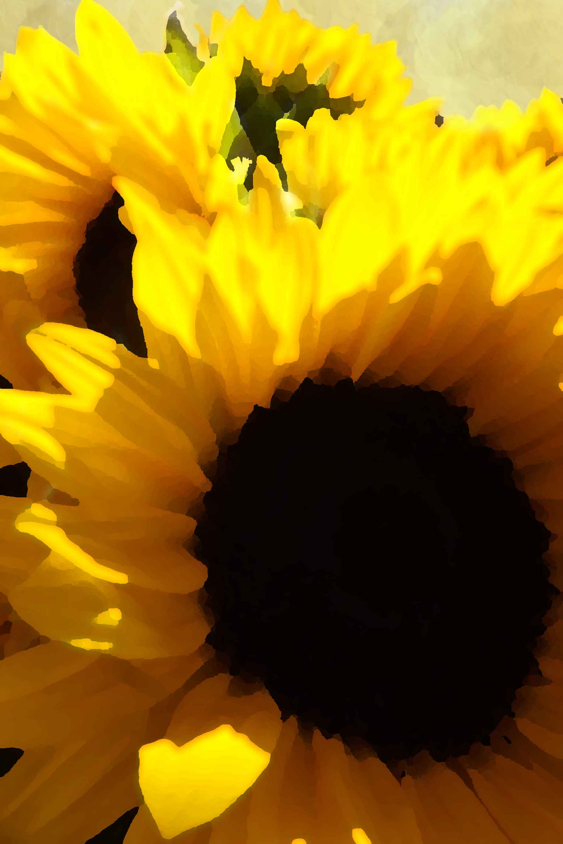 Sunflower watercolor